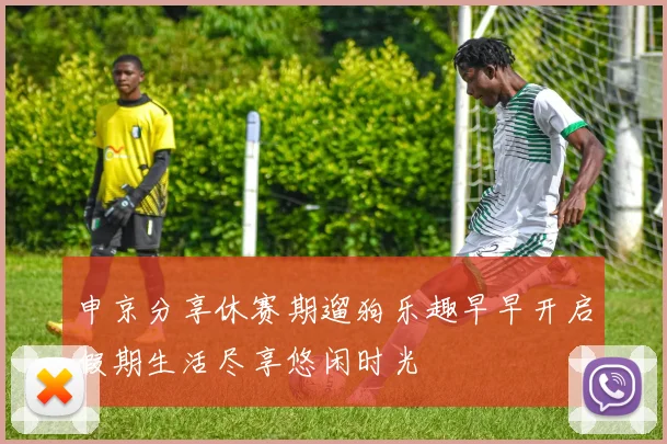 申京分享休赛期遛狗乐趣早早开启假期生活尽享悠闲时光