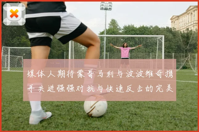 媒体人期待蒙哥马利与波波维奇携手共进强强对抗与快速反击的完美结合