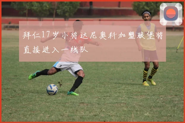 拜仁17岁小将达尼奥科加盟狼堡将直接进入一线队