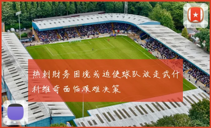 热刺财务困境或迫使球队放走武什科维奇面临艰难决策